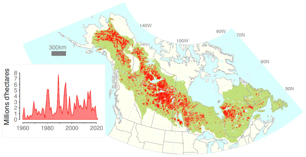 Forest fires: North America’s boreal forests are burning a lot, but ...