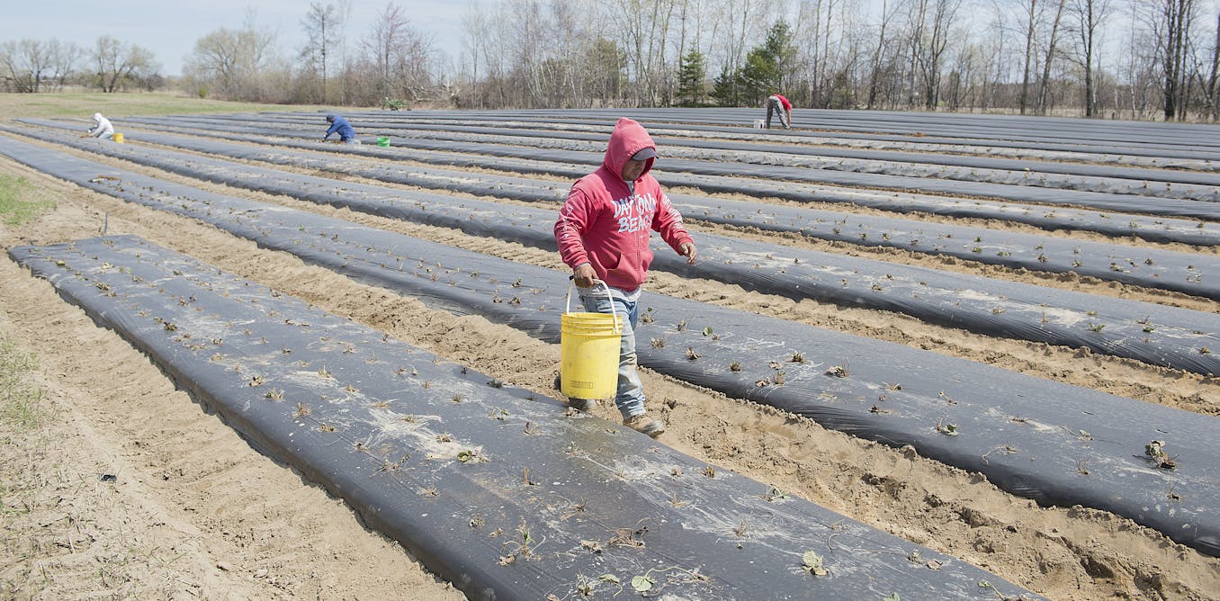 New regulations on migrant farm workers should tackle employer/employee power imbalances