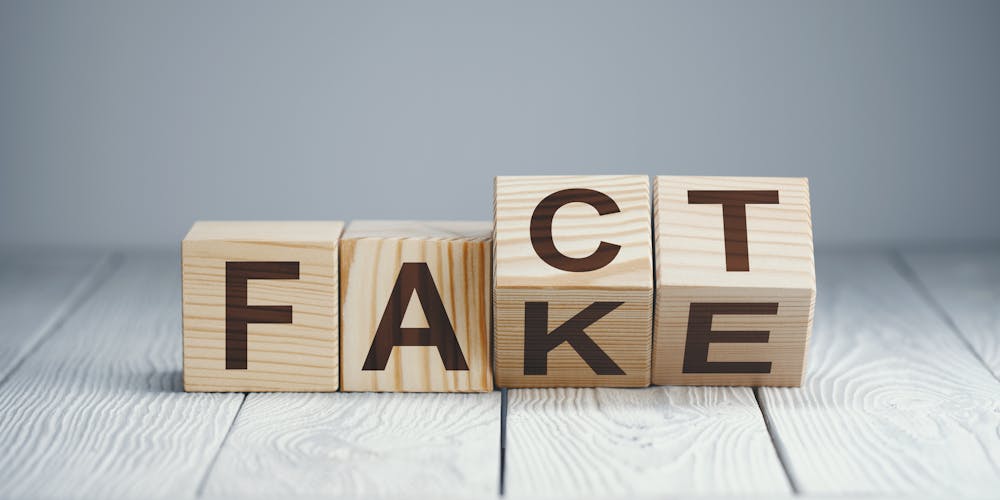 5 expert tips to protect yourself from online misinformation - Raw Story