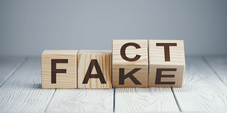 Wooden blocks that spell the words Fake and Fact
