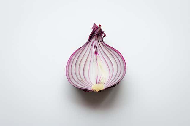 Picture of an onion. 