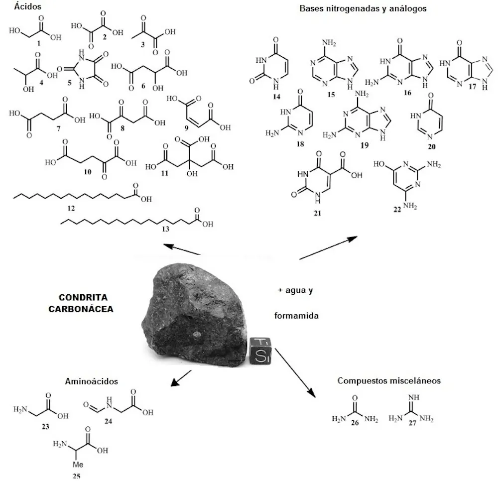 Nuevo hallazgo en meteoritos condríticos sube la apuesta a favor de la vida extraterrestre