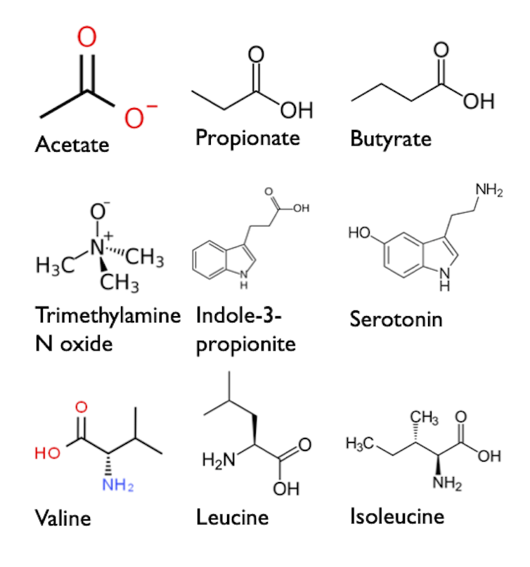 figure representing several molecules