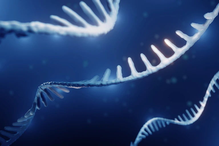 Illustration of three RNA strands suspended in a blue background