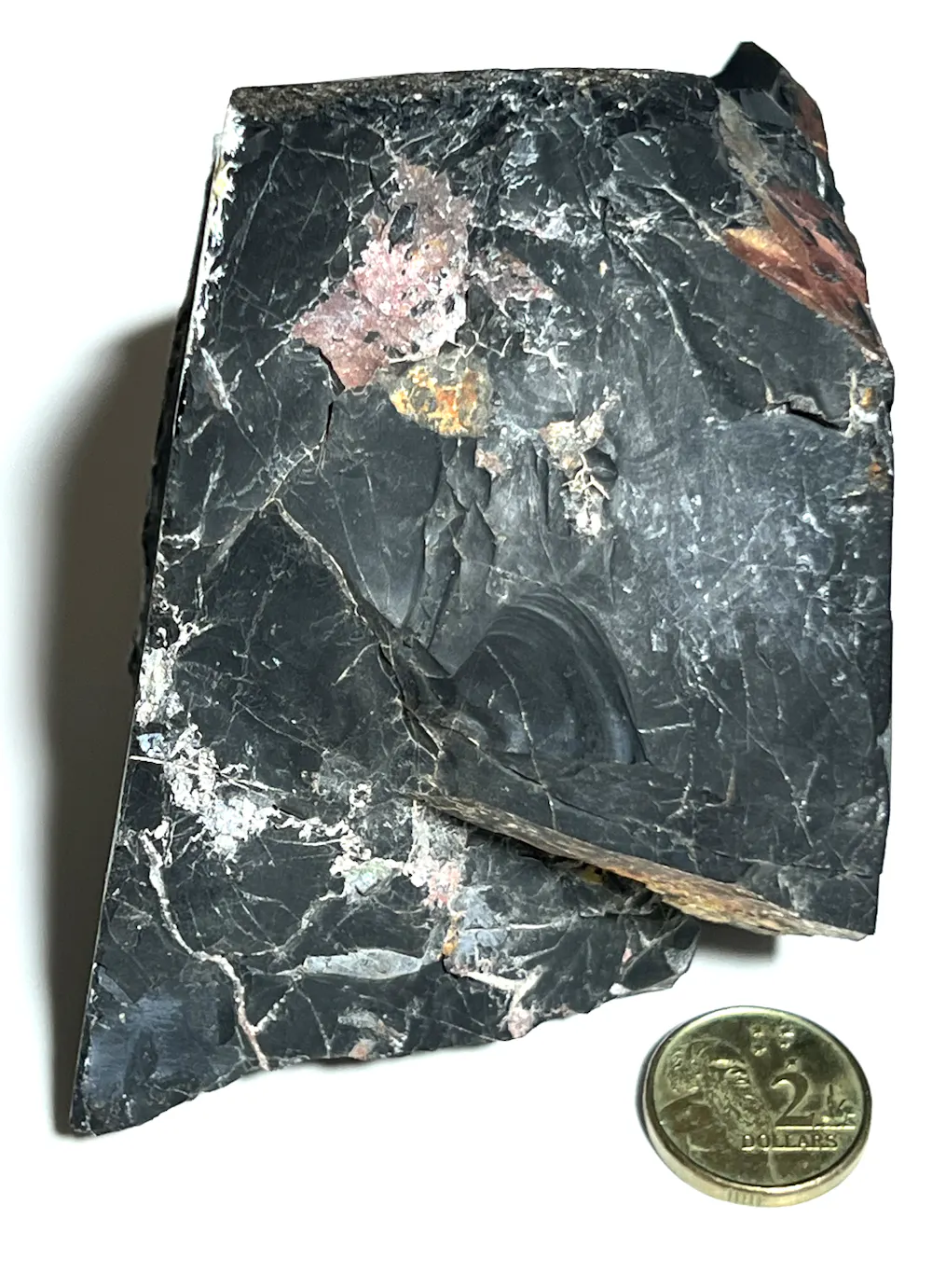 The world’s oldest fossils or oily gunk? New research suggests these 3. ...