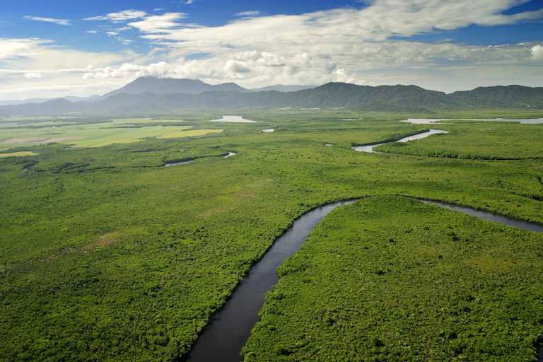 daintree rivers