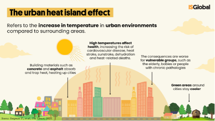 Planting more trees could reduce premature heat-related deaths in European cities by a third – new research