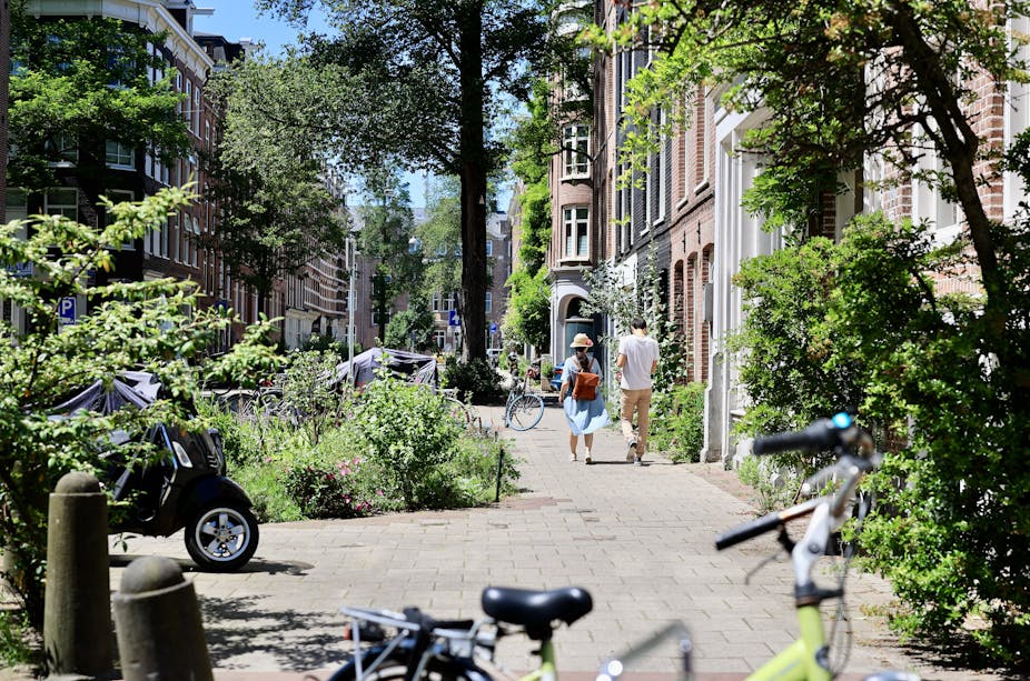 A couple is walking down a leafy street in Amsterdam.