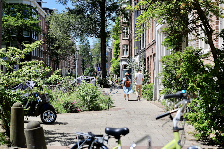 A couple is walking down a leafy street in Amsterdam.
