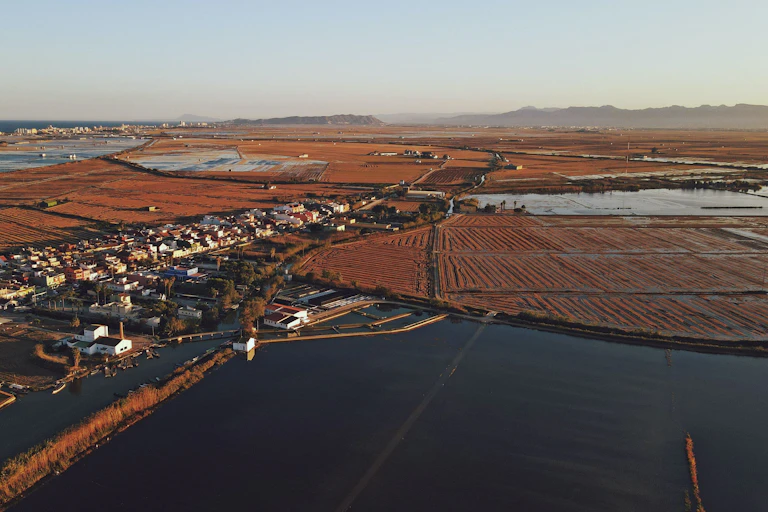 Campos de arroz en torno al municipio de El Palmar.