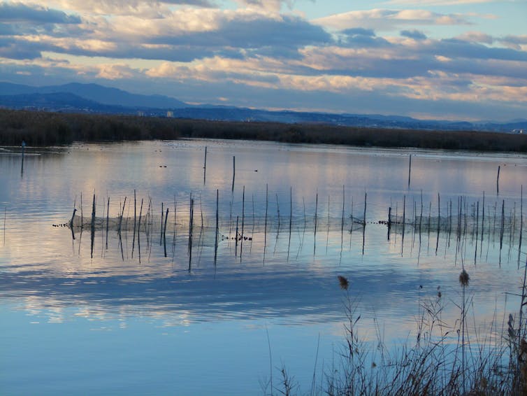 Atardecer en una laguna.