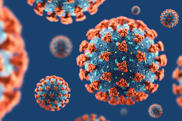An illustration of SARS-CoV-2, the virus that causes COVID-19.