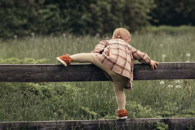 child climbs fence into meadow