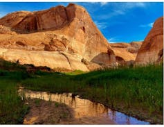 A red rock cliff towers above trees and a small pool of water.