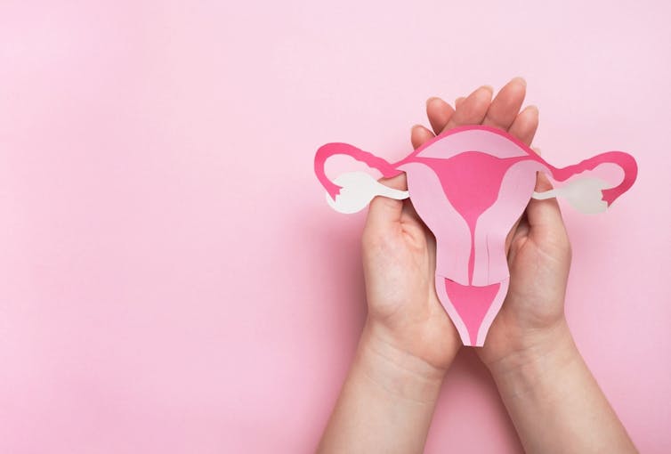 Women's health, gynecology and reproductive system concept. Woman hands holding decorative model uterus on pink background.