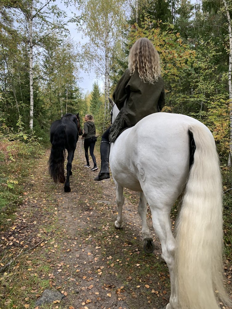 Horse riding in the forest.