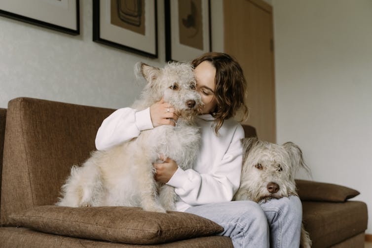 Woman sitting on sofa with two white dogs.