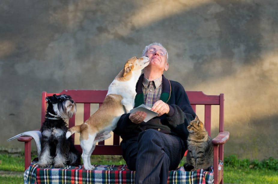 man sitting on bench with two dogs and a cat.