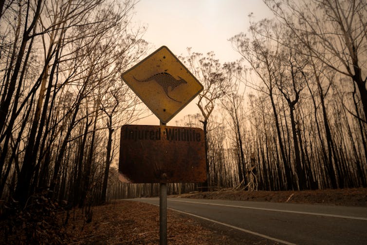 blackened sign of kangaroo and bunt bush