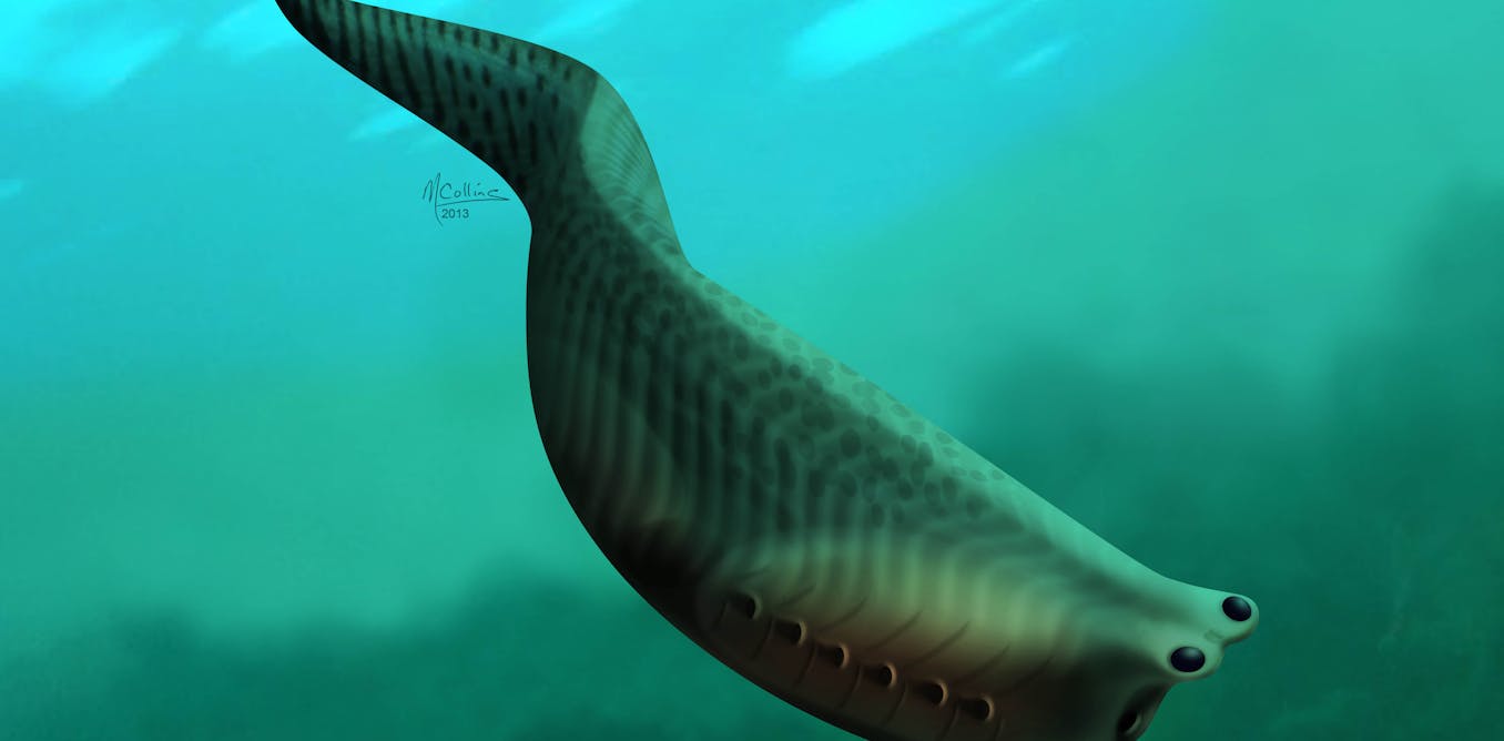 The oldest fish in the world lived 500 million years ago