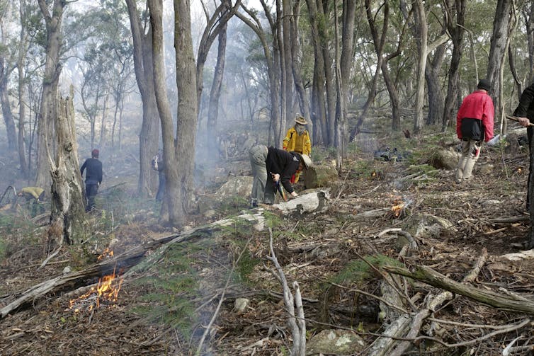 people walk around bush with small fire burning
