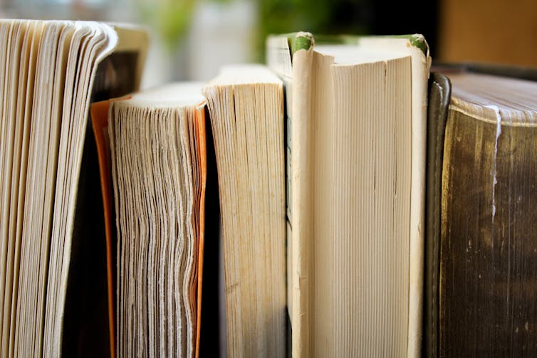 A row of books on a shelf.