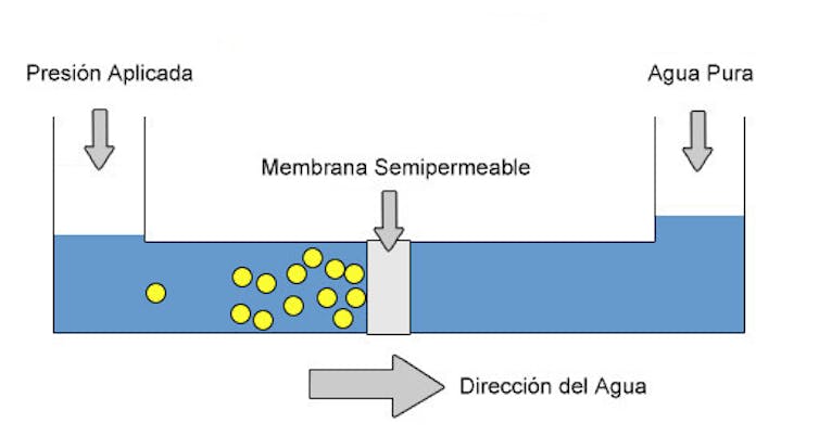 Gráfico con flechas que indican el flujo de agua y la situación de la membrana.