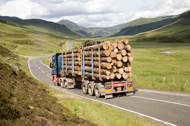 A truck transporting cut logs down on a mountain road.