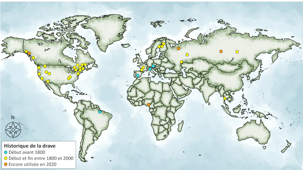 What log driving can teach us about forests, past and present