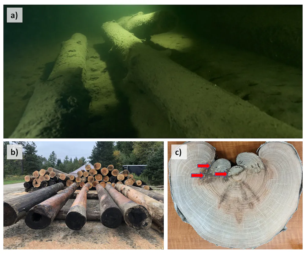 What log driving can teach us about forests, past and present