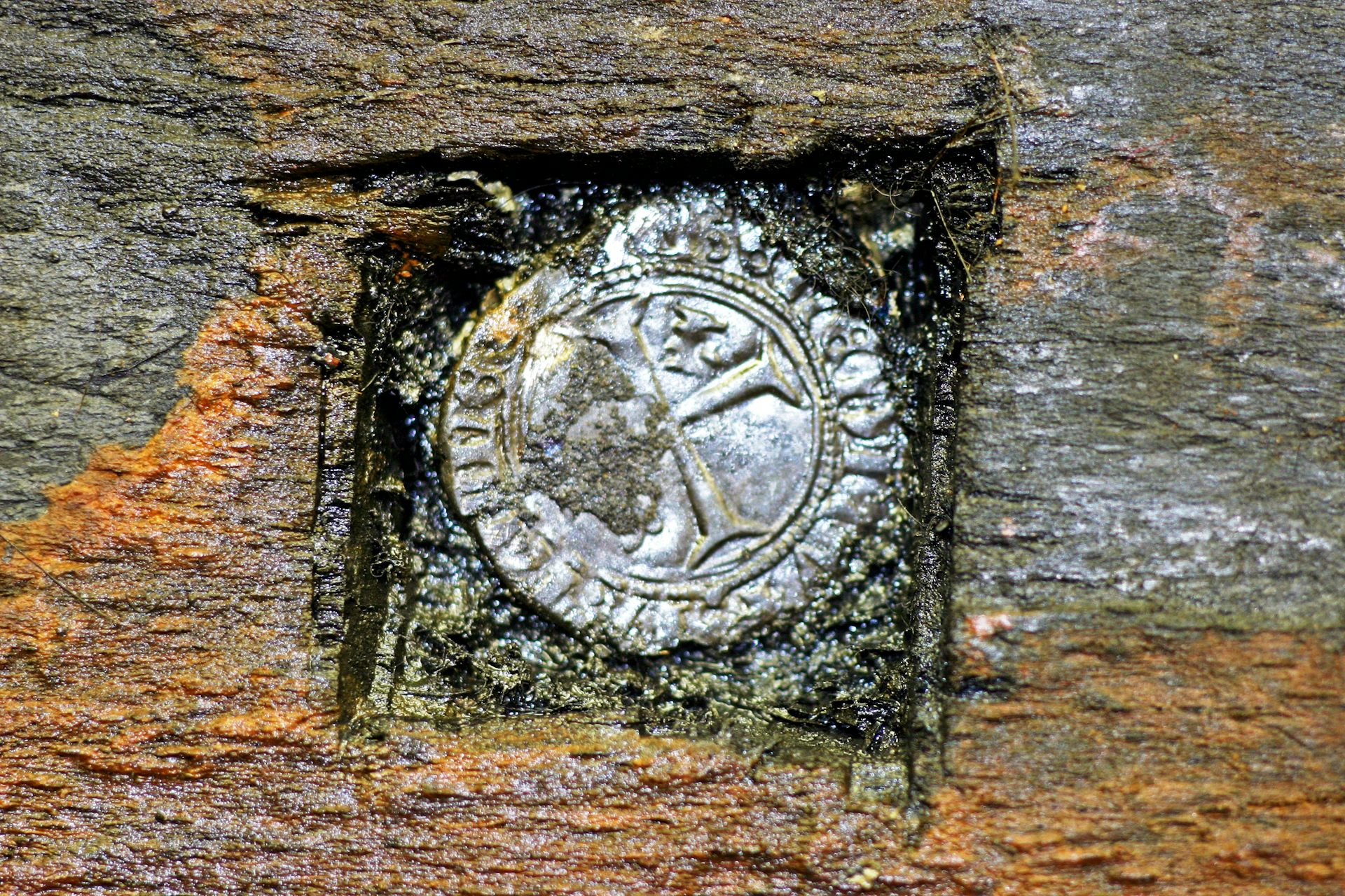 Very old, silver coin lodged within a piece of timber