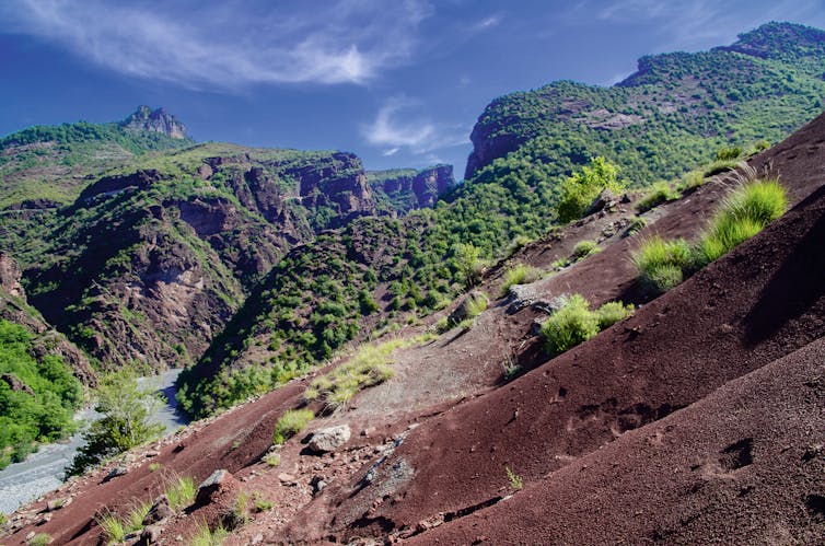 Paysage de canyons, roches rouges et végétation éparse