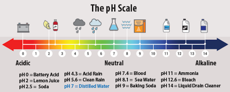 Th pH scale with values for common substances.