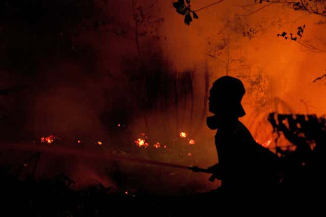 Kebakaran hutan Kalimantan