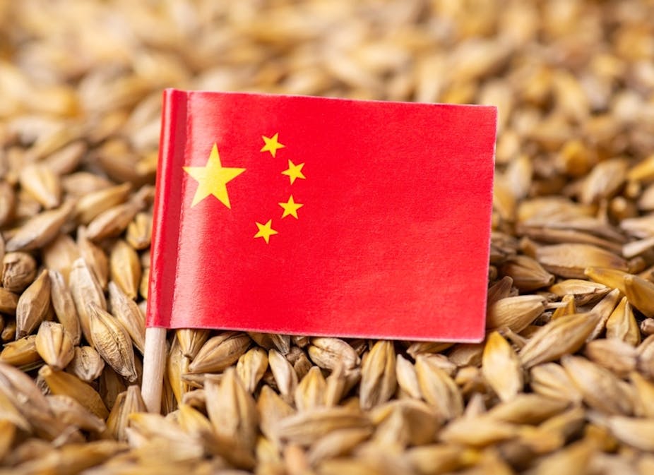 Drapeau de la Chine planté sur un tas de blé. 