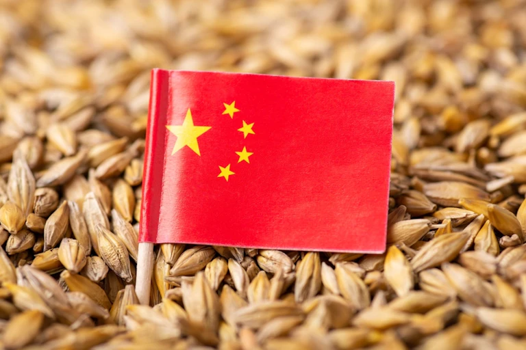 Drapeau de la Chine planté sur un tas de blé.