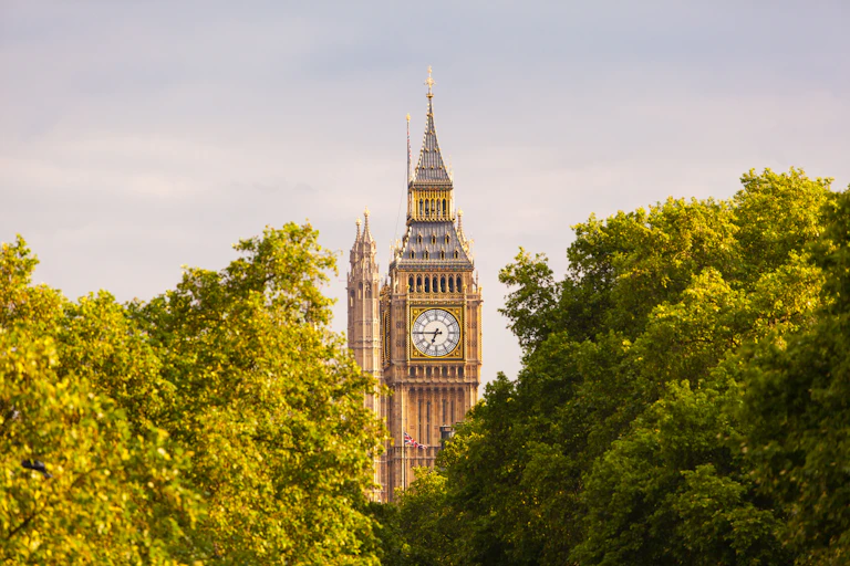 Large clock tower with trees in foreground