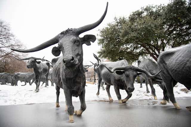 Sculptures of longhorn cattle surrounded by snow