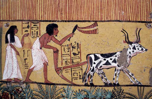 A man and woman farming with a plough and oxen from a wall painting in the tomb of Sennedjem, Valley of the Kings, Luxor, Thebes.