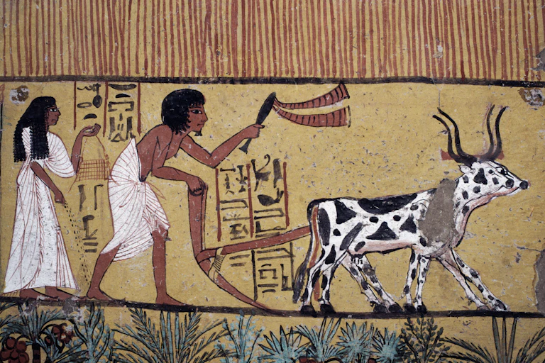 A man and woman farming with a plough and oxen from a wall painting in the tomb of Sennedjem, Valley of the Kings, Luxor, Thebes.