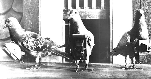 Forget spy balloons, the world of surveillance has tried everything from schoolchildren to trained cats