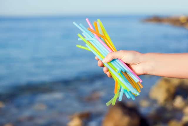 hand holds bundle of plastic straws with beachside background blurred