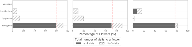 Contribution of different insect types towards strawberry pollination.