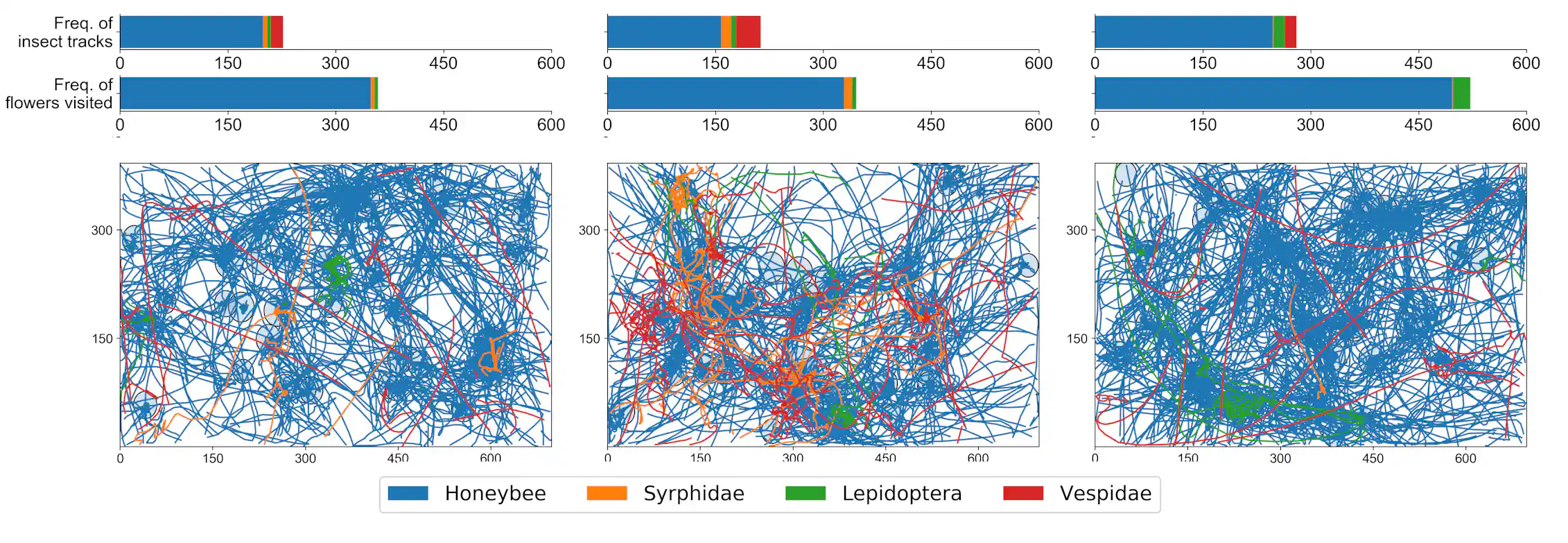 Insect Vision Graph AI Can Track Bees on Camera. Here’s How That Will Help Farmers - Modern ...