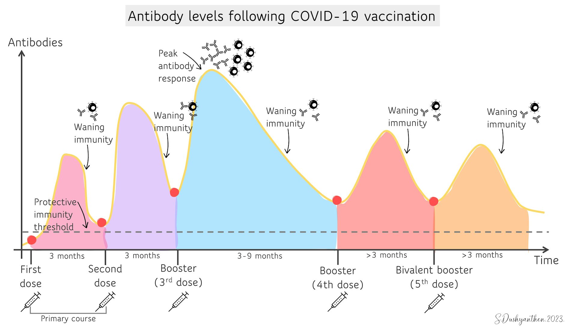 Haven T Had COVID Or A Vaccine Dose In The Past Six Months Consider   File 20230208 13 Fbqb55 