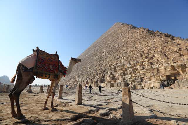 A saddled camel stands placidly next to one side of a pyramid beneath a bright blue sky