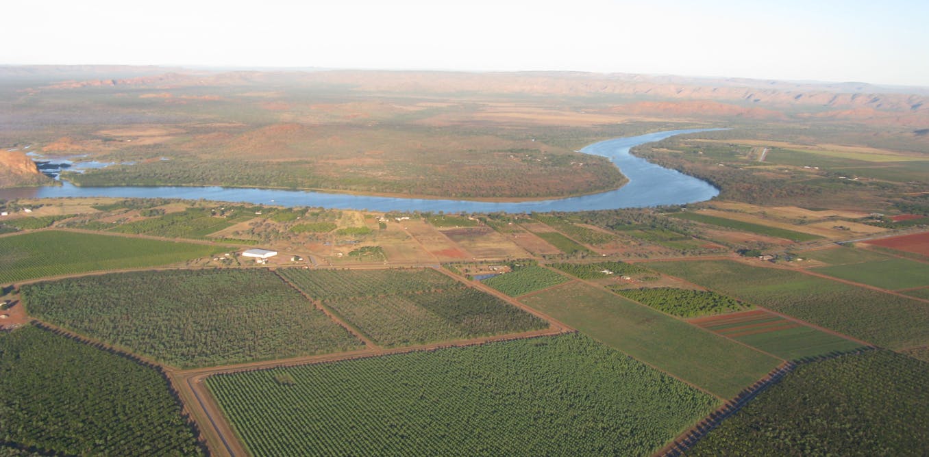 Giant steps needed to build up northern australia’s potential