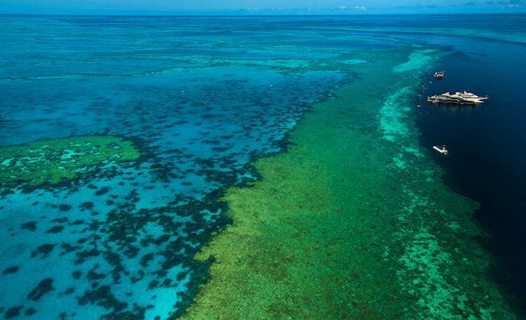 Coral reef with boards moored