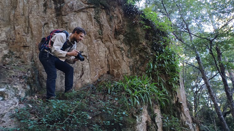 Man photographing plants in forest