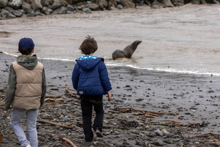 Un lion de mer et deux enfants sur une plage de Californie en janvier 2023